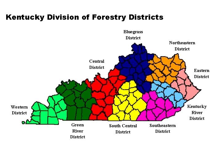 Kentucky Division of Forestry Districts