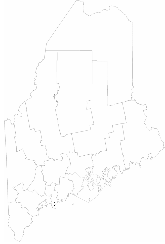 Maine-counties.png